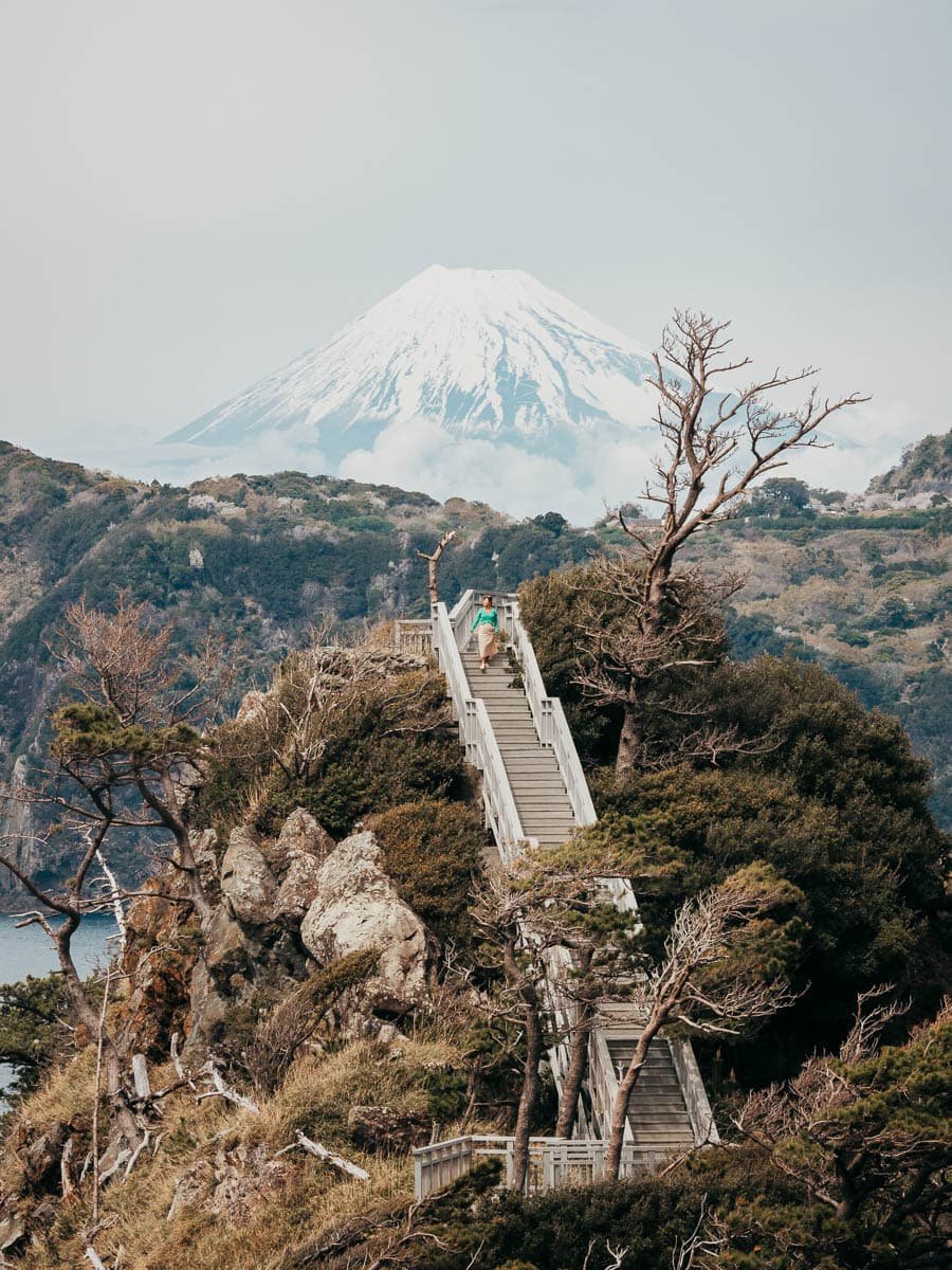 🏞️ 황금곶 공원(코가네자키 코엔) 이미지 11